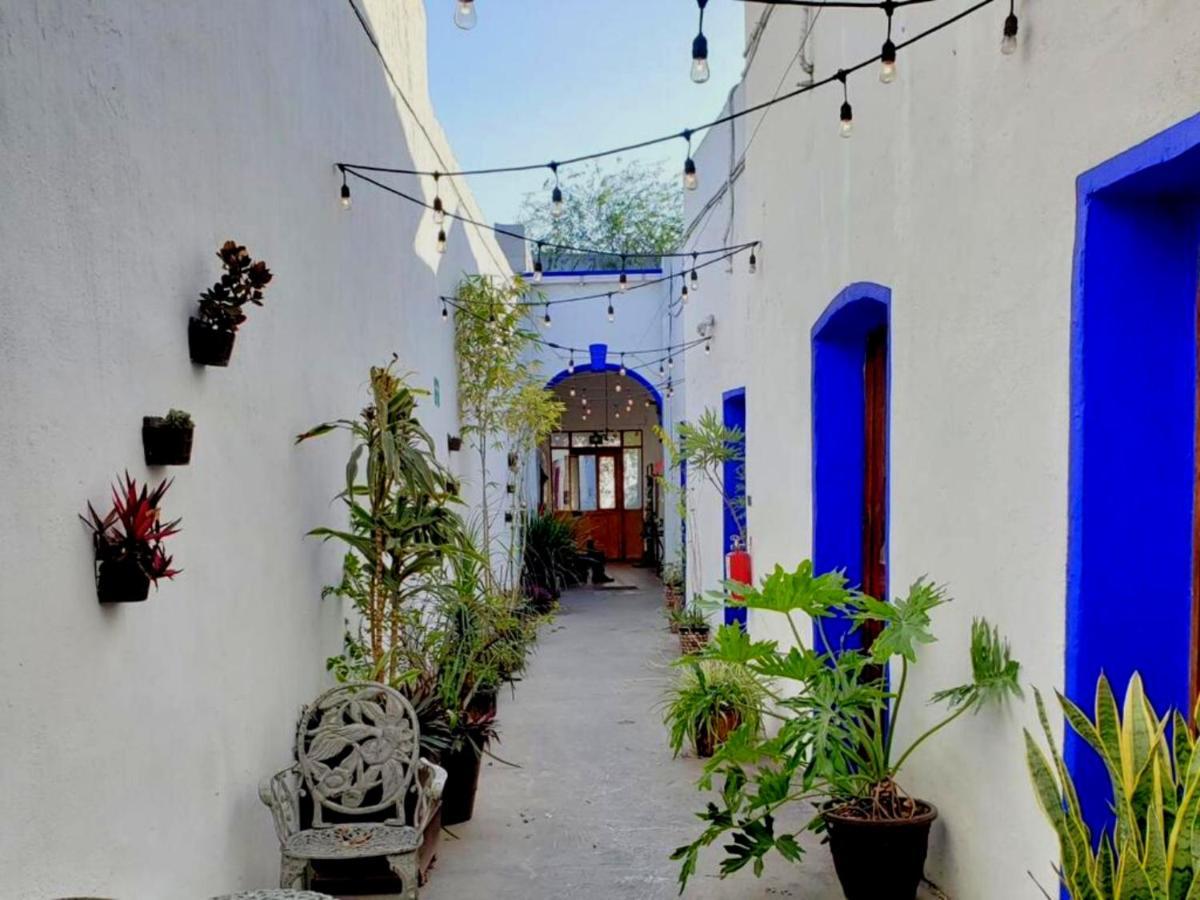 Ikali Hostel مونتيري المظهر الخارجي الصورة