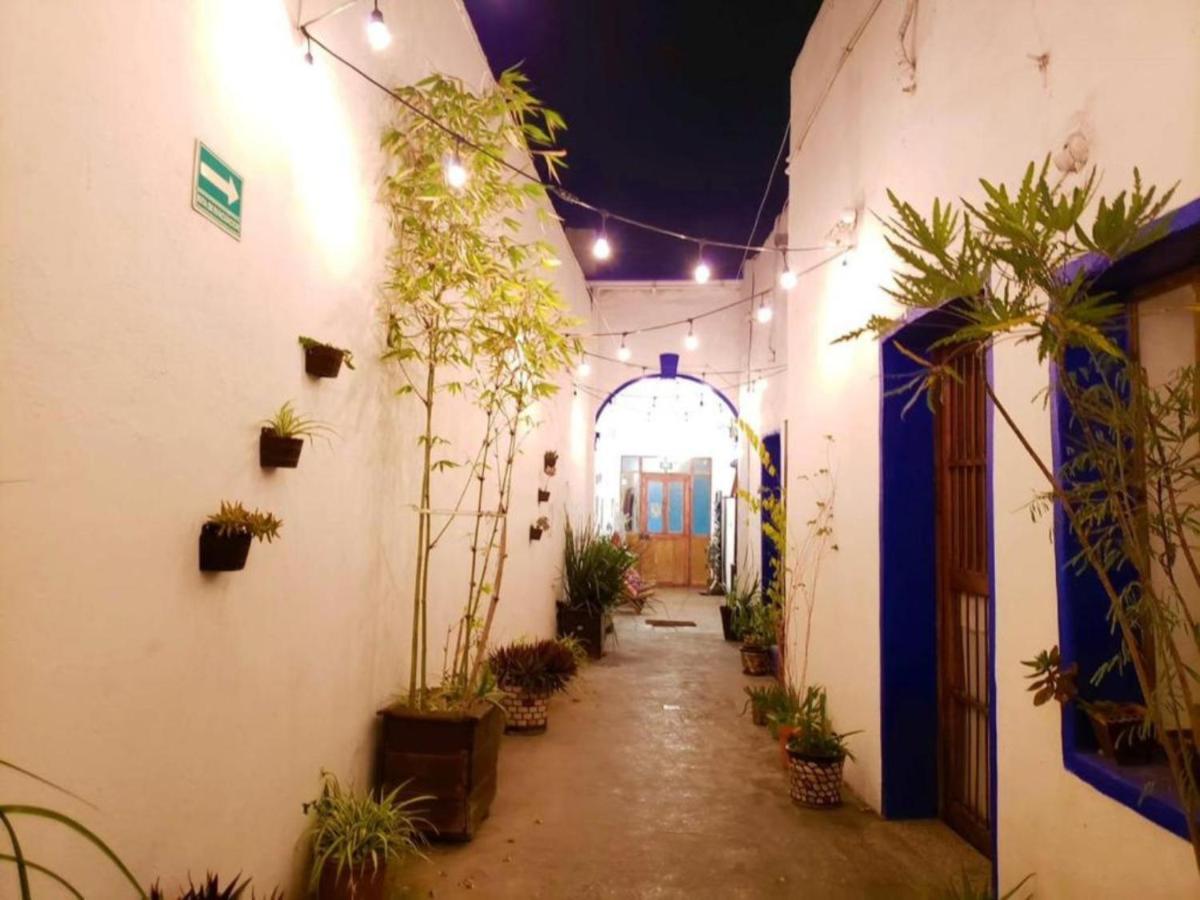 Ikali Hostel مونتيري المظهر الخارجي الصورة