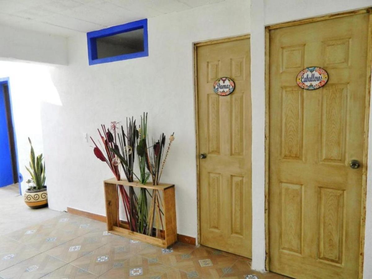 Ikali Hostel مونتيري المظهر الخارجي الصورة